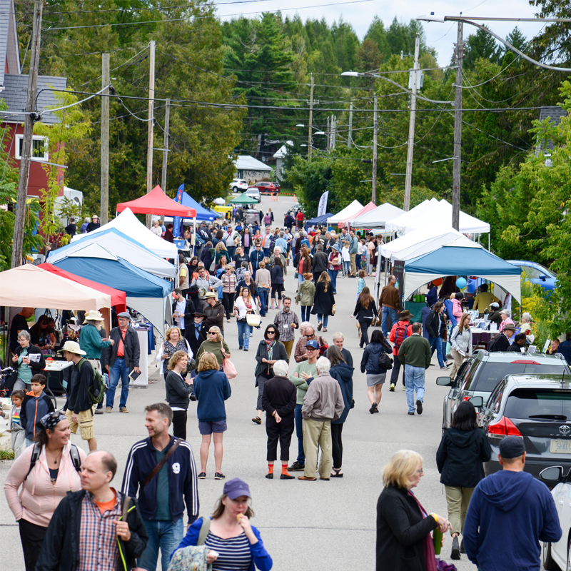 Photo of a crowd of people and numerous booths on the main street in Eden Mills.
